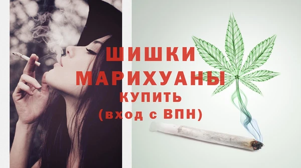 гидропоника Гусев