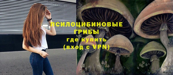 экстази Гусь-Хрустальный