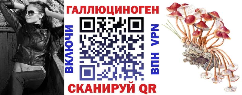 Галлюциногенные грибы GOLDEN TEACHER  купить наркоту  Москва 