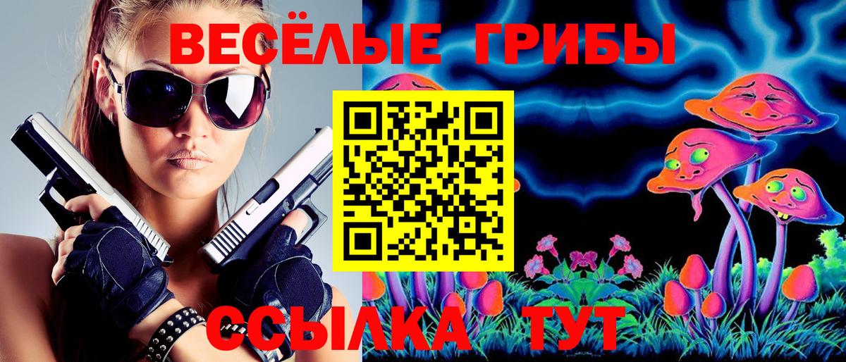 Галлюциногенные грибы Cubensis Москва