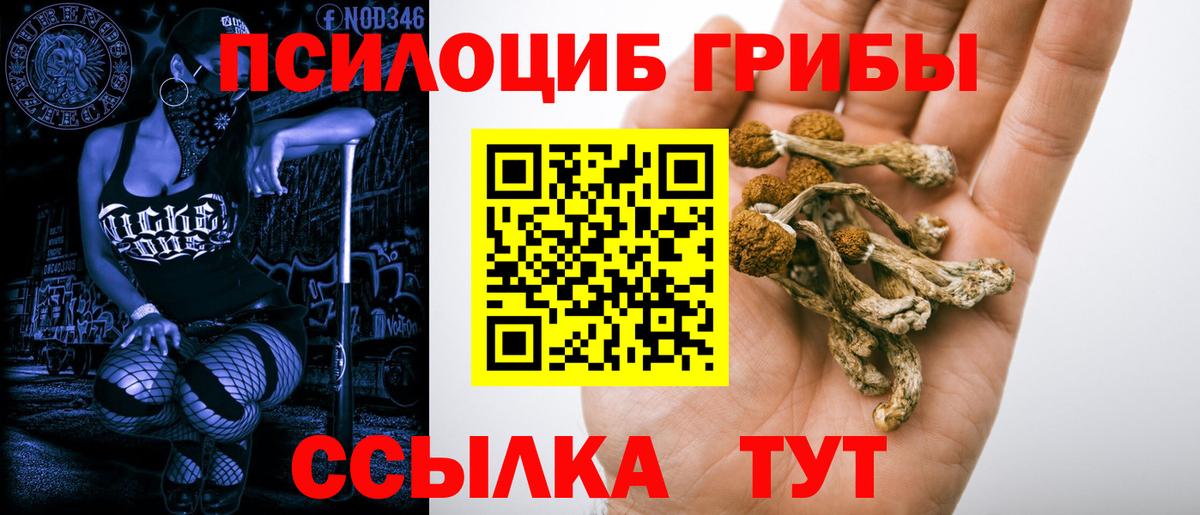 что такое наркотик  Галлюциногенные грибы Magic Shrooms  Псилоцибиновые грибы GOLDEN TEACHER  Вход с VPN  Москва 