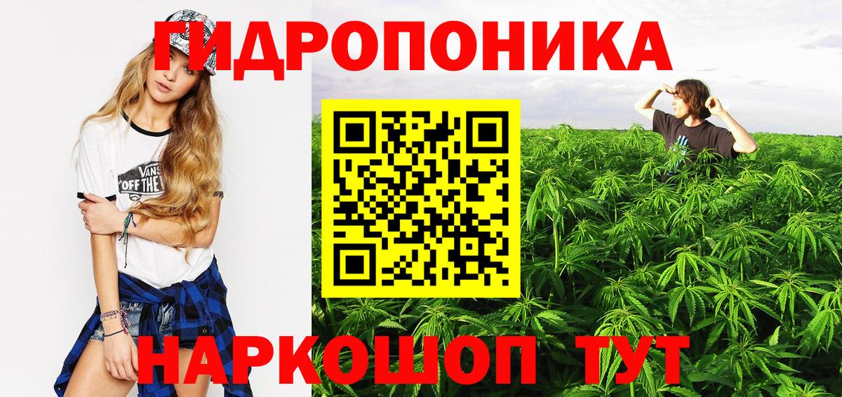 Шишки марихуана MAZAR Москва